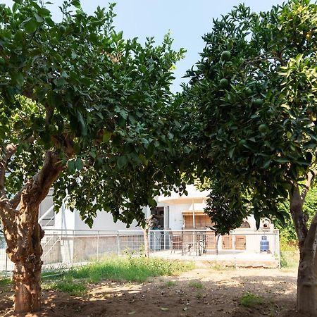 Garden House Preveza Appartement Buitenkant foto