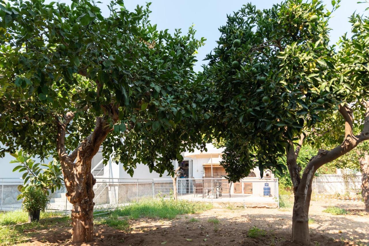 Garden House Preveza Appartement Buitenkant foto
